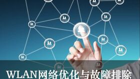 石头哥Tekla插件 高效辅助建模与工具条功能全解析